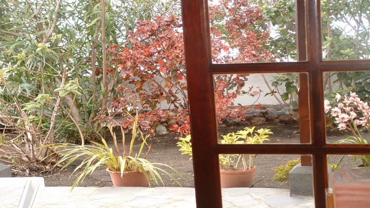 Casa Los Vinedos B Фуэнкальенте-де-ла-Пальма Экстерьер фото
